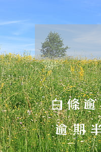 白條逾期半年會(huì)影響出行么(白條逾期半個(gè)月了會(huì)造成什么影響)
