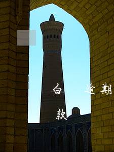 白條逾期只能全額還款(白條還款全部超額還款)