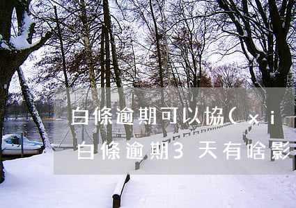 白條逾期可以協(xié)商延遲三個月嗎(白條逾期3天有啥影響嗎)