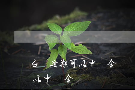 白條逾期可以申請金條嗎 白條申請不了還可以申請金條嗎