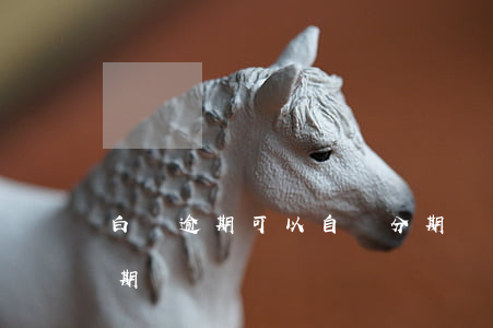 白條逾期可以自動分期嗎(白條逾期后可以分期嗎)