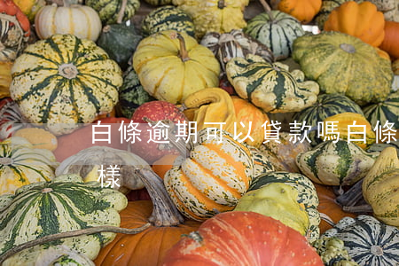 白條逾期可以貸款嗎(白條還款逾期了會怎么樣?)