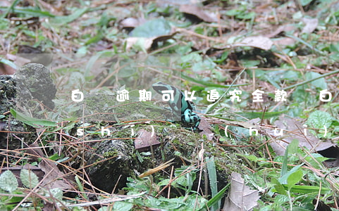 白條逾期可以追究全款嗎(白條逾期多長時(shí)間會(huì)全額)