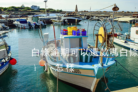 白條逾期可以還款嗎(白條逾期還款會(huì)怎樣)