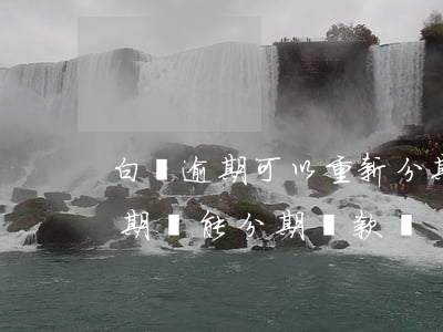 白條逾期可以重新分期還款么(白條分期后逾期還能分期還款嗎)