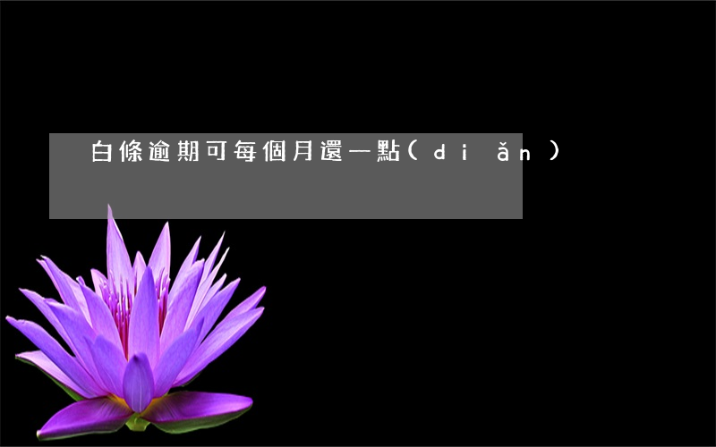 白條逾期可每個月還一點(diǎn)