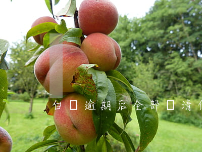 白條逾期后全部還清(白條逾期還款后)