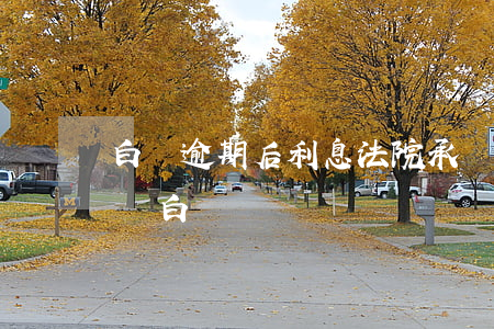 白條逾期后利息法院承認(rèn)嗎(逾期還白條)