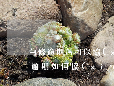 白條逾期后可以協(xié)商成功嗎 白條逾期如何協(xié)商還本金