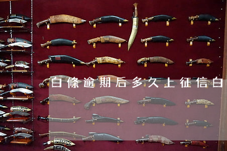 白條逾期后多久上征信(白條逾期會上征信嗎?)