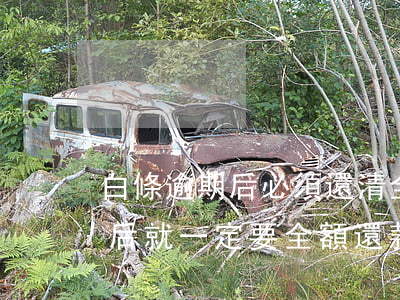 白條逾期后必須還清全部欠款嗎(白條逾期之后就一定要全額還款嗎)