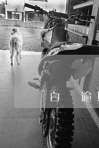 白條逾期后收到快遞-白條逾期了,快遞員打電話?