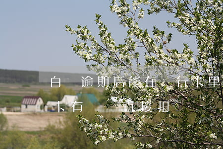 白條逾期后能在銀行卡里扣錢嗎(逾期了銀行卡有錢會直接扣嗎)