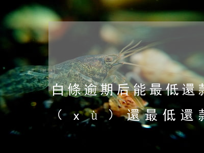 白條逾期后能最低還款嗎(白條逾期一天繼續(xù)還最低還款)