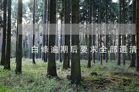 白條逾期后要求全部還清