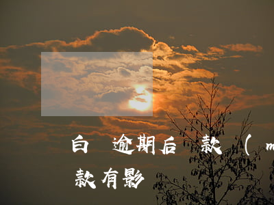 白條逾期后貸款買(mǎi)房(白條逾期貸款有影響嗎)