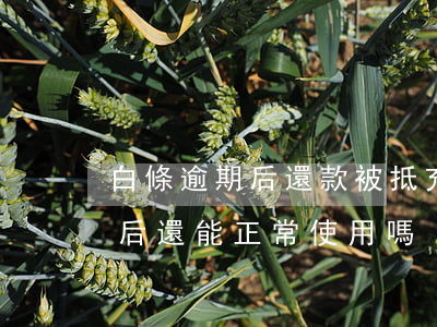 白條逾期后還款被抵充合法不(白條逾期還款后還能正常使用嗎)