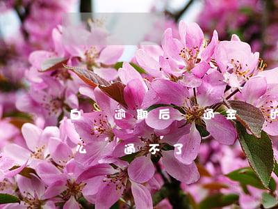白條逾期后開通金條的(金條開通了白條為什么開通不了) 白條逾期后開通金條的(金條開通了白條為什么開通不了)