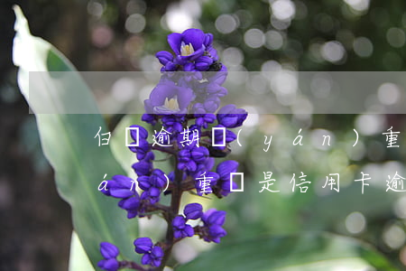 白條逾期嚴(yán)重-白條逾期嚴(yán)重還是信用卡逾期嚴(yán)重