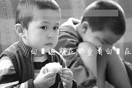 白條逾期在哪查看（白條在哪里看有沒有逾期）