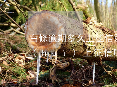 白條逾期多久上征信（愛(ài)白條逾期會(huì)上征信嗎）