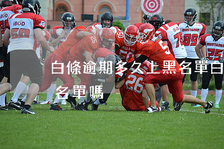 白條逾期多久上黑名單(白條逾期會進入失信名單嗎)