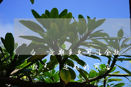 白條逾期多久可以全款還(白條逾期要求還全款只還逾期的可以嗎)