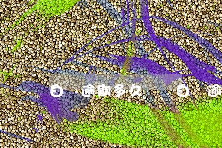 白條逾期多久壞賬 白條逾期過