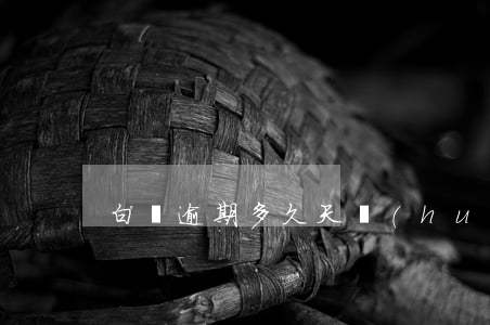 白條逾期多久天會(huì)起訴