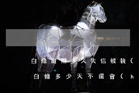 白條逾期多久失信被執(zhí)行人查詢 白條多少天不還會(huì)被列入失信人名單