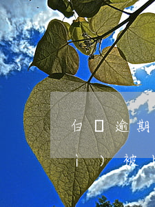 白條逾期多久就上門(白條逾期多久會(huì)被上門)