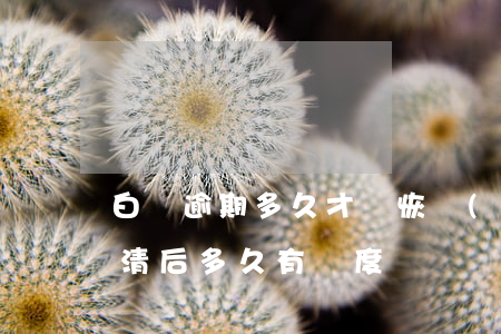 白條逾期多久才會恢復(fù)(白條逾期還清后多久有額度)
