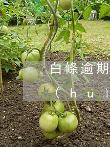 白條逾期多久會(huì)上訴 白條多久會(huì)被起訴