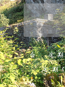 白條逾期多久會(huì)收到律師函-白條逾期50天發(fā)來信息郵政快遞發(fā)律師函