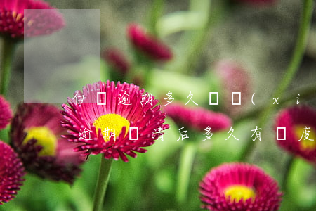 白條逾期多久會協(xié)商還款-白條逾期還清后多久有額度
