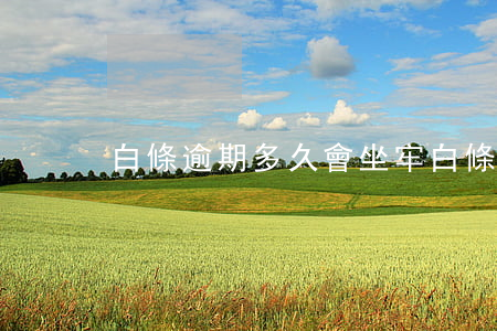 白條逾期多久會坐牢(白條逾期多久會起訴)