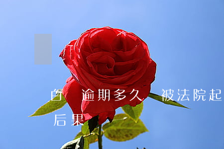 白條逾期多久會被法院起訴 白條逾期10天后果