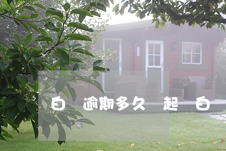 白條逾期多久會起訴(白條欠款多久會起訴)