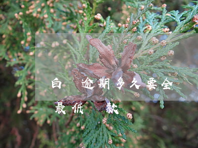 白條逾期多久要全額還款(白條逾期怎么才能最低還款)