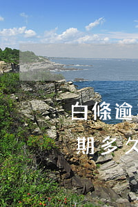 白條逾期多久要全額還款真的假的-白條逾期多久會被全額還款