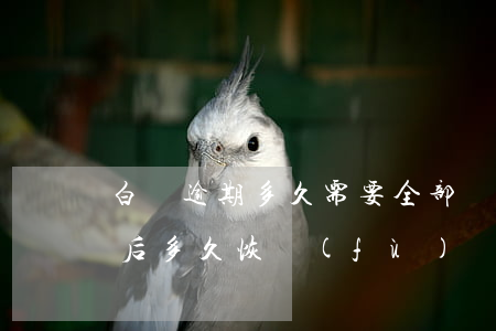 白條逾期多久需要全部還清(白條逾期還完之后多久恢復(fù))