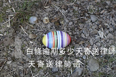 白條逾期多少天寄送律師函-白條逾期多少天寄送律師函