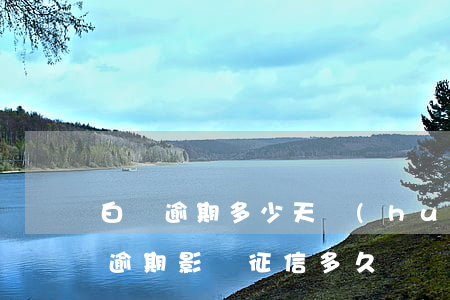 白條逾期多少天會(huì)影響征信（白條逾期影響征信多久）