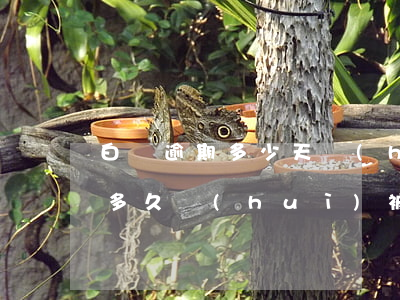 白條逾期多少天會(huì)投訴(白條逾期多久會(huì)被停用)