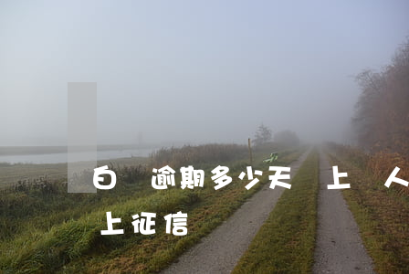 白條逾期多少天會上個人征信（白條逾期2天上征信記錄嗎）