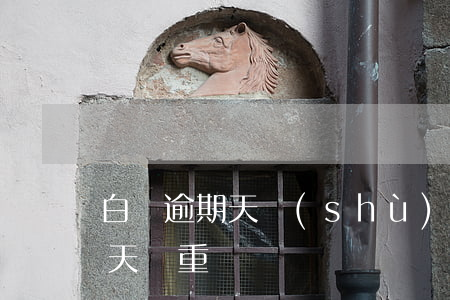 白條逾期天數(shù)怎么算(白條逾期5天嚴重嗎)