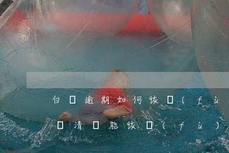 白條逾期如何恢復(fù)(金條白條逾期了還清還能恢復(fù)嗎)