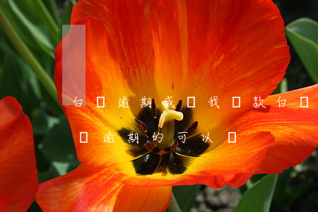 白條逾期威脅我還款(白條逾期要求還全款只還逾期的可以嗎)