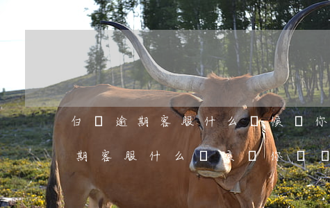 白條逾期客服什么時候給你來電話-白條逾期客服什么時候給你來電話的