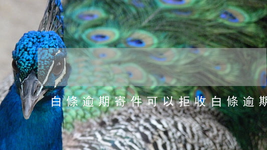 白條逾期寄件可以拒收 白條逾期會寄通告嗎